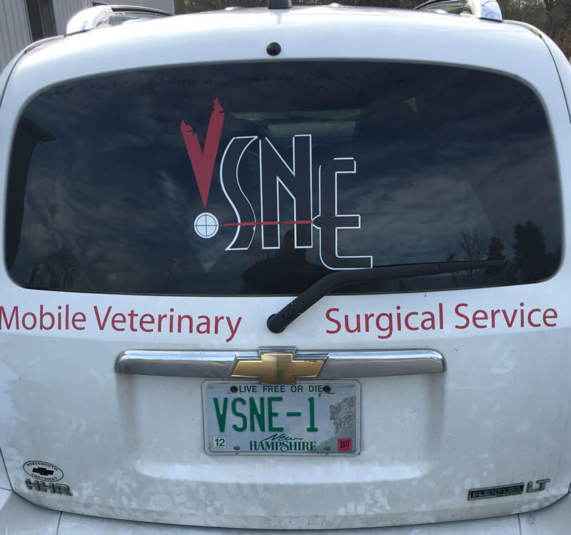 Mobile Veterinary Surgeon in Dover, NH